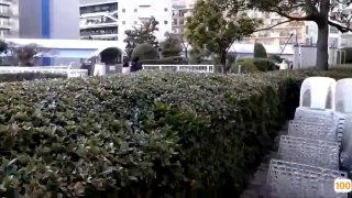 锕锕锕锕锕锕锕好疼免费网站视频自拍每天更新有常可拍厕所